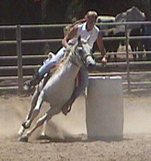 riding lessons horseback arabian horses horse welcome arabians diego san